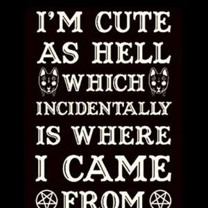 Meet your Posher, Shannon